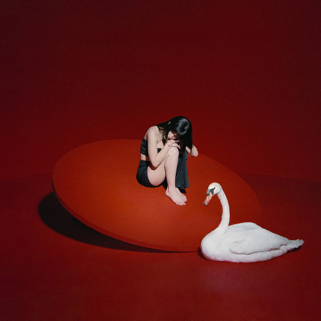 Álbum 1